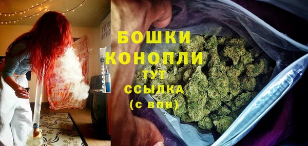 СК Богородицк