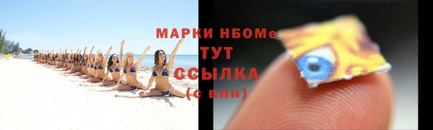 индика Беломорск