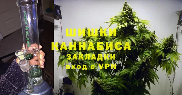 индика Беломорск
