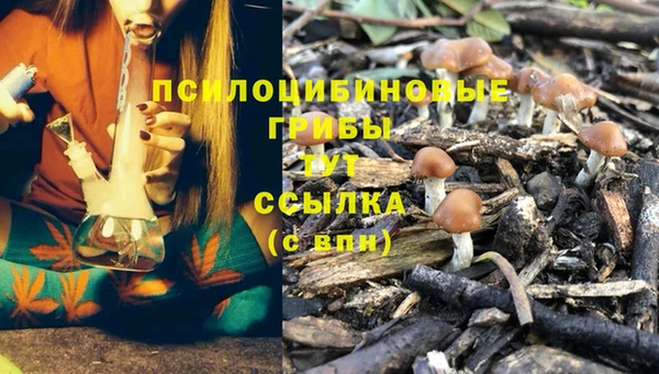 СК Богородицк