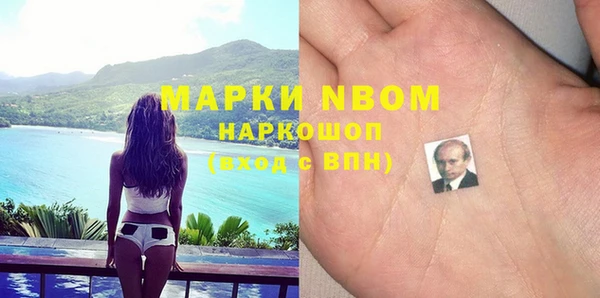 индика Беломорск