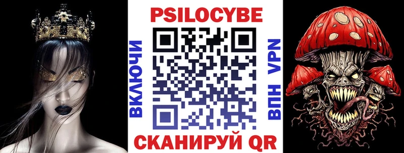 Галлюциногенные грибы Psilocybe  где купить наркоту  Оха 